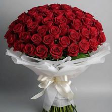 Букет 101 Красная роза Блэк Мэджик в Квашенки