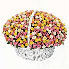 Премиум букет из: Розы в Квашенки