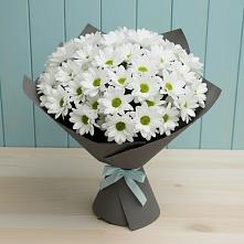 Букет цветов из:  Хризантемы #REPLACE_PRED# Квашенки