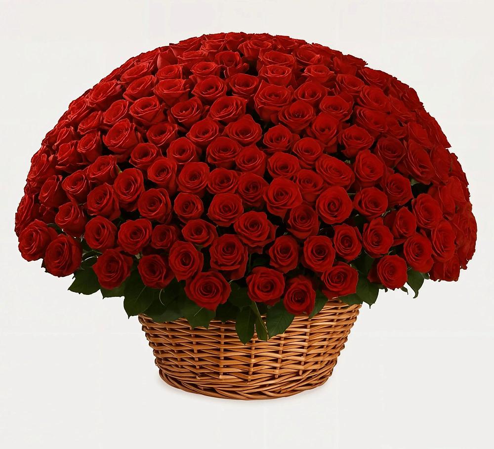 Премиум букет из: Розы в Квашенки