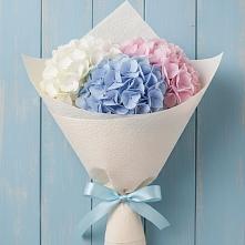 Букет цветов из:  Гортензия в Квашенки