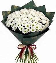 Букет цветов из:  Хризантемы в Квашенки