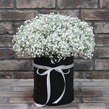 Цветочная композиция из Гипсофила в шляпной коробке в Квашенки