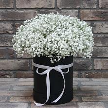Цветочная композиция из Гипсофила в шляпной коробке в Квашенки