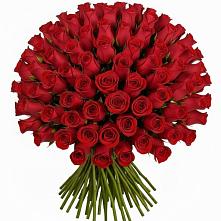 Букет Красные розы Чери Лав #REPLACE_PRED# Квашенки