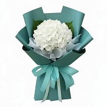 Букет цветов из:  Гортензия #REPLACE_PRED# Квашенки